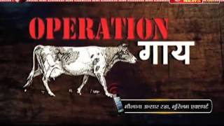 ऑपरेशन गाय (Operation cow)