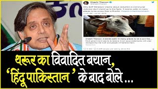 Shashi Tharur का एक और विवादित बयान, बोले- 'मुस्लिमों की तुलना में गाय ... | IBA NEWS |