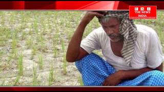 Hydrabad News - भारी बारिश क वजह से कही ख़ुशी कही किसान दुबे है दुखी में