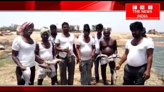 Telangana News- समीरपेट तालाब में मर रही मछलिया शिकायत के बाद भी अधिकारी नहीं ले रहे एक्शन