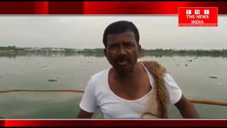 TELANGANA- के मेडचल जिले के किसरा मंडलके तालाब में मछली मरी इण्डस्ट्रीयल का पानी इस तालाब में आताहै