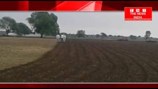 TELANGANA : किसानों ने दूसरी  बारिश होते ही बुआई का कार्य शुरू किया.......