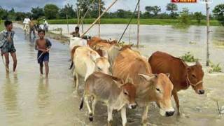 बिंदास बोल : सुदर्शन बाढ़ राहत अभियान!.. बाढ़ में डूबते असम को बचाओ #BadhSeLadai.....