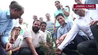Plantation drive launched in Udhampur