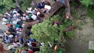 One woman died in incidence of tree collapse in Gandhinagar
