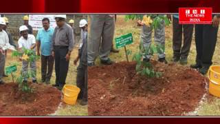 AP :रिलायंस पॉवर लिमिटेड के कर्मचारियों ने  वन महोत्सव कार्यकर्म के तहत लगाये पौधे
