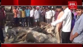 [uttar pradesh]/The police reached the spot and pulled out the cattle-packed trucks.