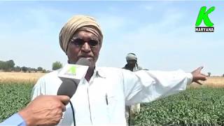 कैसे करें जैविक खेती जानिए किसान रघुवीर गाोदारा से k haryana