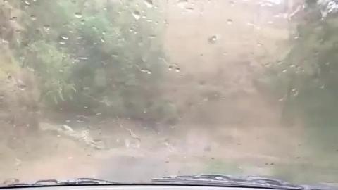 Rainy season - Link Road Near Dharamshala