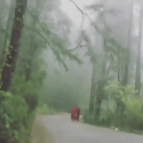 Rainy Weather Dharamshala
