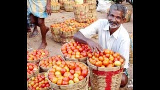 Tomato Rates Increased In Hyderabad | @ SACH NEWS |