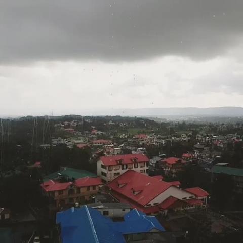 Raining in Palampur - vid - Satarupa Paul