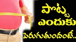 Reason Behind Stomach Fat l Health Tips I RECTV INDIA