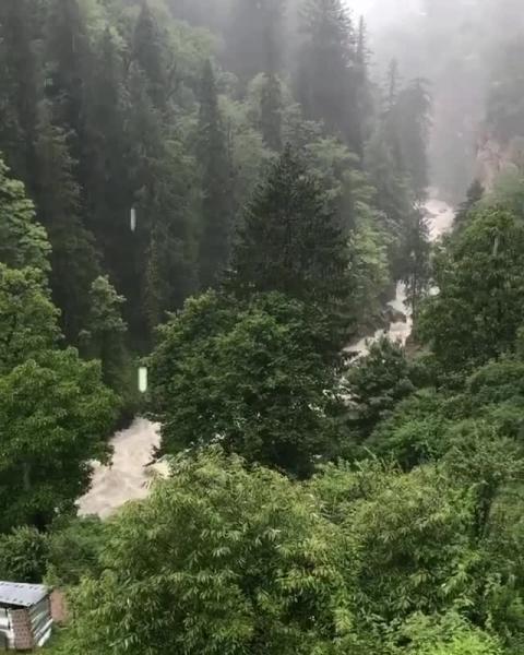 Parvati Valley - Himachal Pradesh - Juhi Tolani