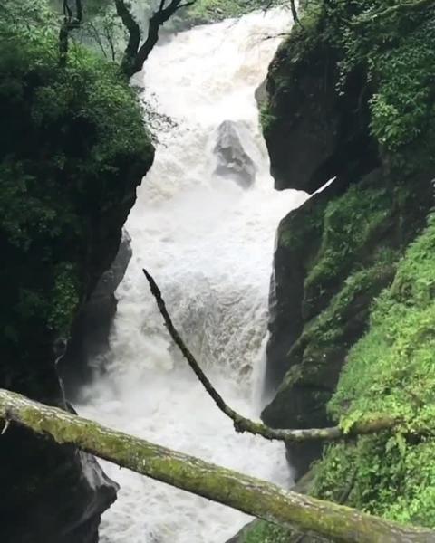 Parvati Valley - Himachal Pradesh - Video by Juhi Tolani
