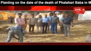 Planting on the date of the death of Phalahari Baba in Manedargarh, Korea District THE NEWS INDIA