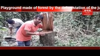 Playground made of forest by the deforestation of  jungles of Assam's Jorhat district THE NEWS INDIA