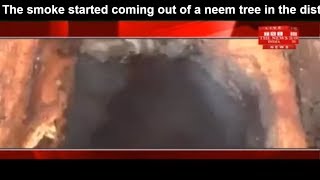 The smoke started coming out of a neem tree in the district town of UP THE NEWS INDIA