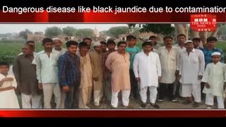Dangerous disease like black jaundice due to contamination of pond water in Kandla THE NEWS INDIA
