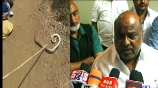 Snake Bite Kills Many People In Telangana Every Year | Special Medicine  For The Snake Bite.