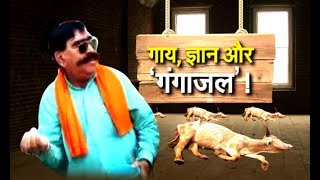 गाय की पूँछ पकड़कर मोक्ष पाया जाता है,लेकिन यहाँ पर सत्ता में आने के लिए...| Gyan Dev Aahuja |