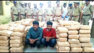 780 Kgs Gaanja Seized | 2 Persons Arrested By Excise Department | @ SACH NEWS |