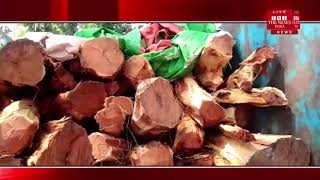 [UP News] पुलिस की टीम को मुखबिर की सूचना पर मिली बड़ी कामयाबी लाखों की खैर की लकड़ी पकड़ी