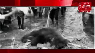[ Srikakulam News ] भालू के हमले में महिला की मौत, ग्रामवासियों ने भालू को मार डाला