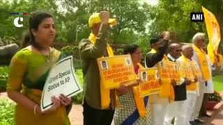 TDP MPs continue protest demanding special status for Andhra Pradesh