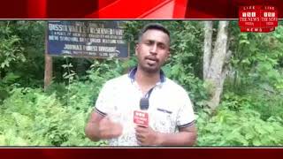 [ Assam News ] Nagaland people created a path illegally. / THE NEWS INDIA