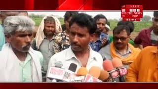 [ Agra Big News ] आगरा में एक प्रेमी जोड़े का शव पेड़ पर लटका मिला / THE NEWS INDIA