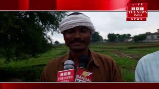 [ Chhattisgarh  ] छत्तीसगढ़ में हो रही बारिश से किसानों के चेहरे खिले / THE NEWS INDIA