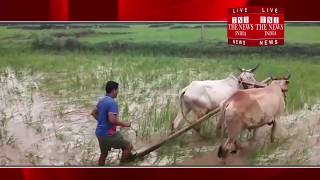 [ Chhattisgarh ] छत्तीसगढ़ जिसे धान का कटोरा कहते है वहा के किसानो के मन का हाल