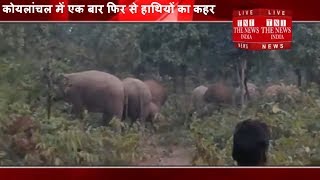 एक बार फिर से हाथियों का कहर  गांव के घरों को रौंदा और  लोगों को भी ..../ THE NEWS INDIA