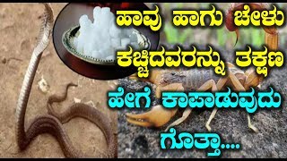 ಹಾವು ಹಾಗು ಚೇಳು ಕಚ್ಚಿದವರನ್ನು ತಕ್ಷಣ ಹೇಗೆ ಕಾಪಾಡುವುದು ಗೊತ್ತಾ | Useful Tips Kannada