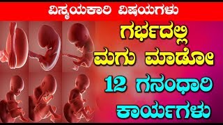ಗರ್ಭದಲ್ಲಿ ಮಗು ಮಾಡೋ 12 ಗನಂಧಾರಿ ಕಾರ್ಯಗಳು | Top Kannada TV