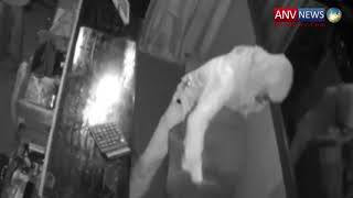 दुकान से लाखों का सामान लेके चोर हुआ फुर्र, CCTV में हुई घटना कैद देखिये वीडियो