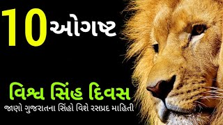 10 August world lion day useful information about Asiatic lions in gujarat
