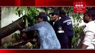 [ Hyderabad ] हैदराबाद के गोलकुंडा इलाके में कार सवार कुछ लोगों पर पेड़ गिर गया / THE NEWS INDIA