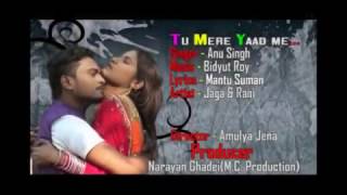 Hindi Album Song:Tu meri yaad me sajan...