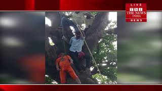 [ Allahabad ] इलाहाबाद में पेड़ पर एक कांवरिया की फांसी से लटकी मिली लाश, / THE NEWS INDIA