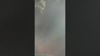 पंजाब में धुंध का कहर , कुछ भी दिखाई देना मुश्किल, देखे VIDEO...