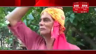 [ Dhanbad ] क्या आप जानते हैं की सिंदूर का भी पेड़ होता  / THE NEWS INDIA