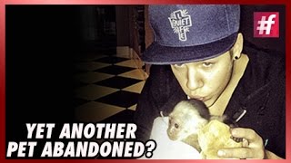 fame hollywood -​​ Bad Bieber abandons another pet
