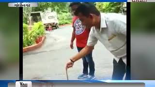 paresh dhanani caught snake