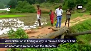 Students walk 8-km to reach school in Chhattisgarh’s Balrampur due to lack of proper roads