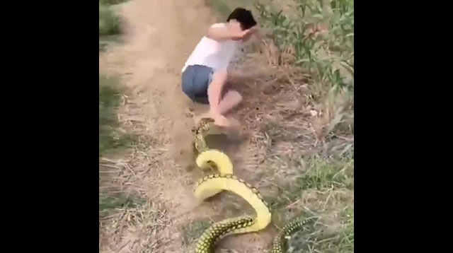 Snake Prank How would you react | <span class='mark'>Funny</span> Video