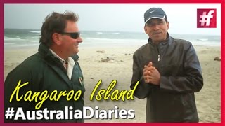 Knowing More About Kangaroo Island #AustralianDiaries