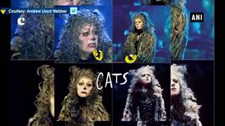 "Cats" movie adaptation release date announced