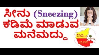 Home Remedies to control Sneezing Kannada | Kannada Sanjeevani